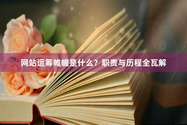 网站运筹帷幄是什么？职责与历程全瓦解