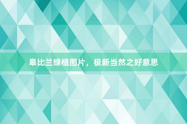 皋比兰绿植图片，极新当然之好意思